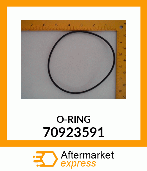 O-RING 70923591