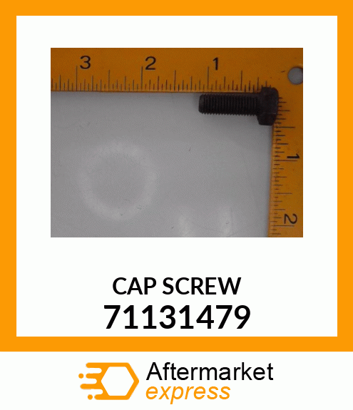 CAP SCREW 71131479