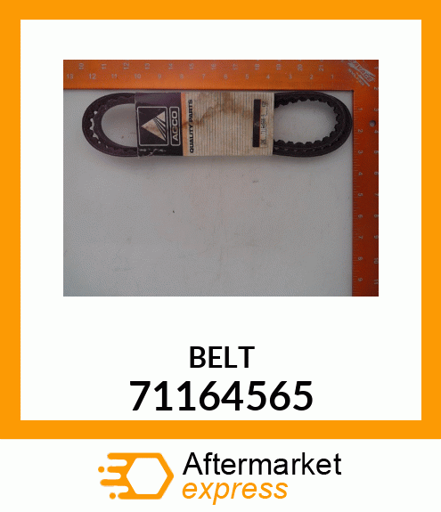 BELT 71164565