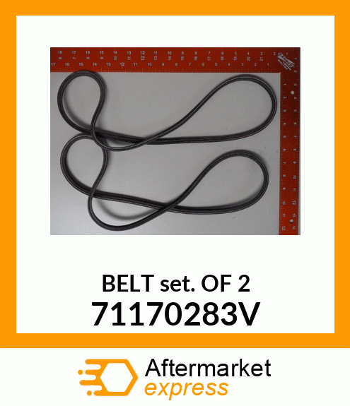 BELT_SET_OF_2 71170283V