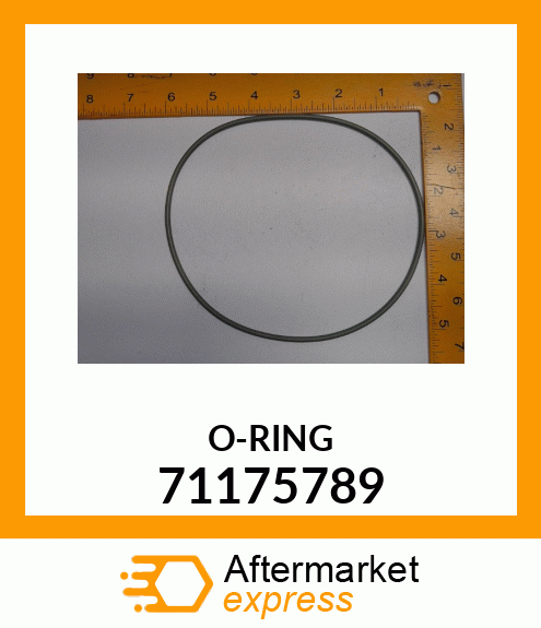 O-RING 71175789