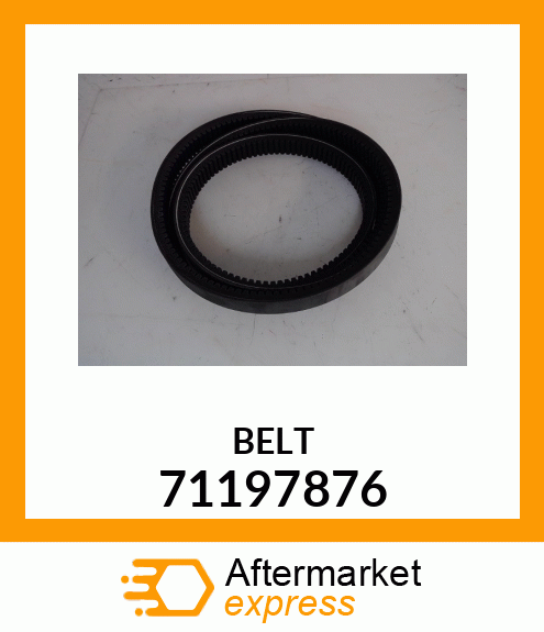 BELT 71197876