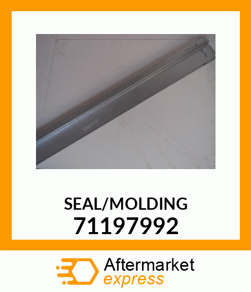 SEAL/MOLDING 71197992