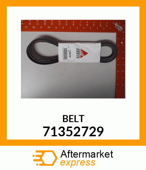 BELT 71352729