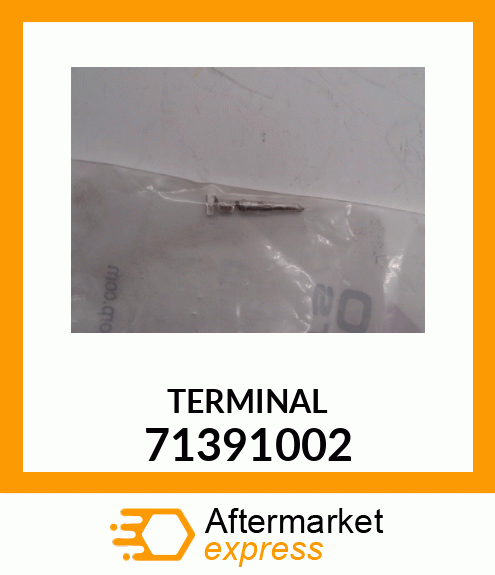 TERMINAL 71391002