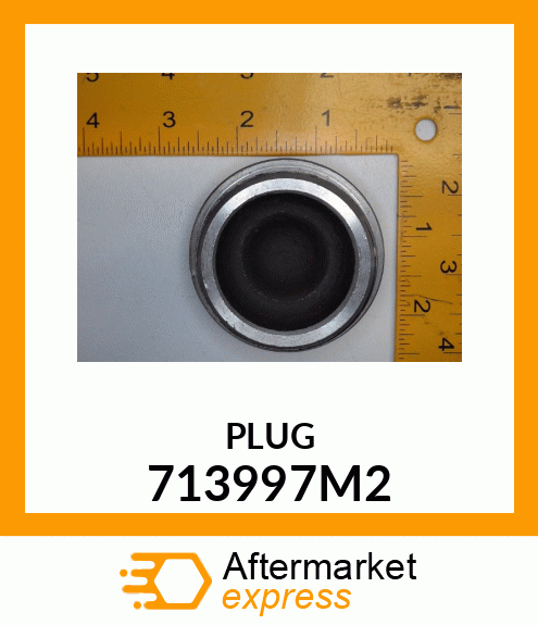 PLUG 713997M2