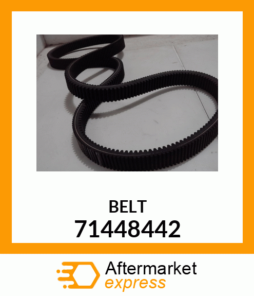 BELT 71448442