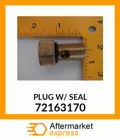 PLUG_W/_SEAL 72163170