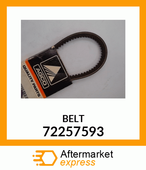 BELT 72257593