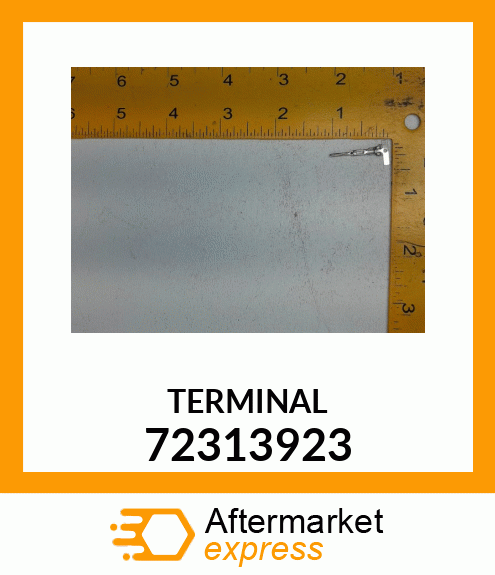 TERMINAL 72313923