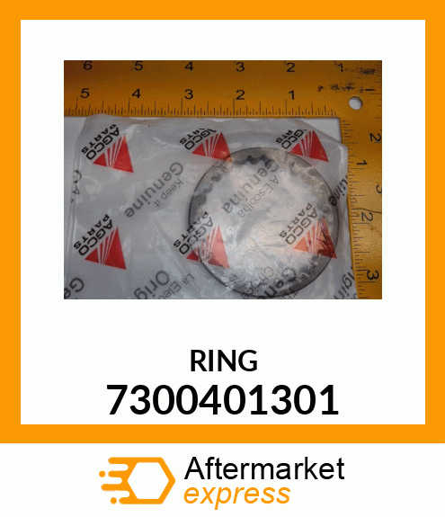 RING 7300401301