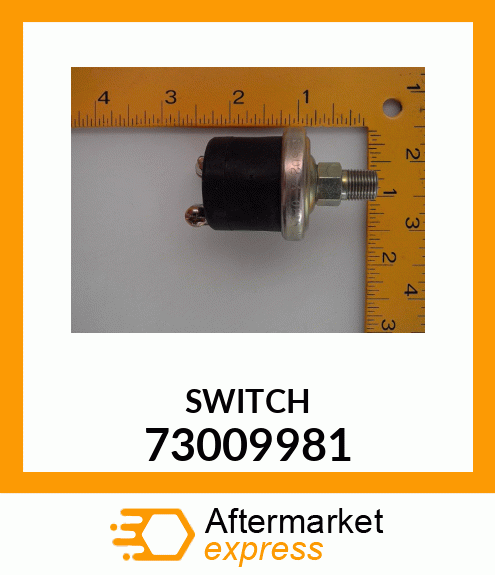 SWITCH 73009981