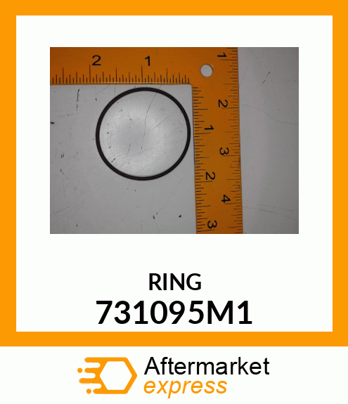 RING 731095M1