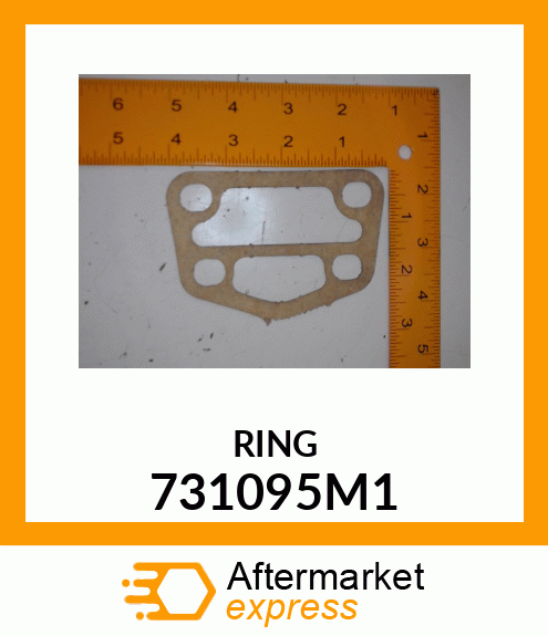 RING 731095M1