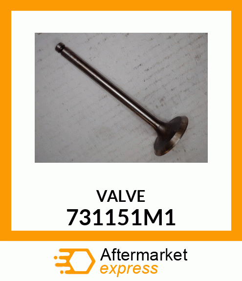 VALVE 731151M1