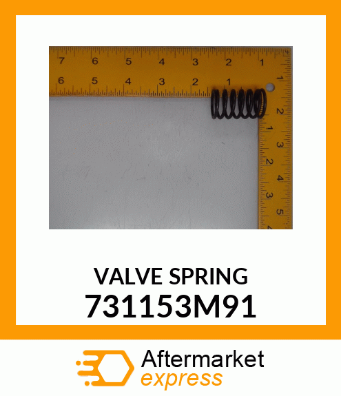 VALVE_SPRING 731153M91