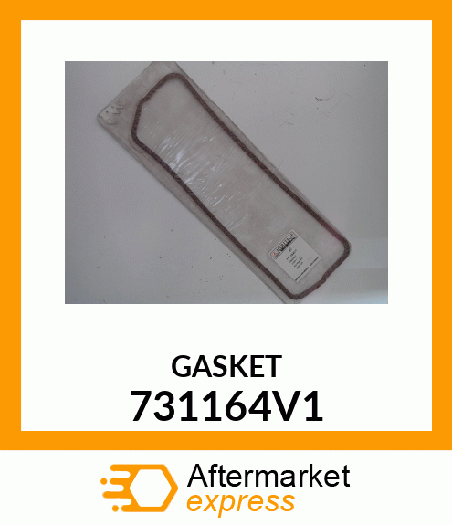 GASKET 731164V1