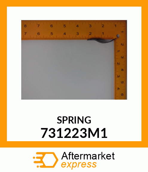 SPRING 731223M1