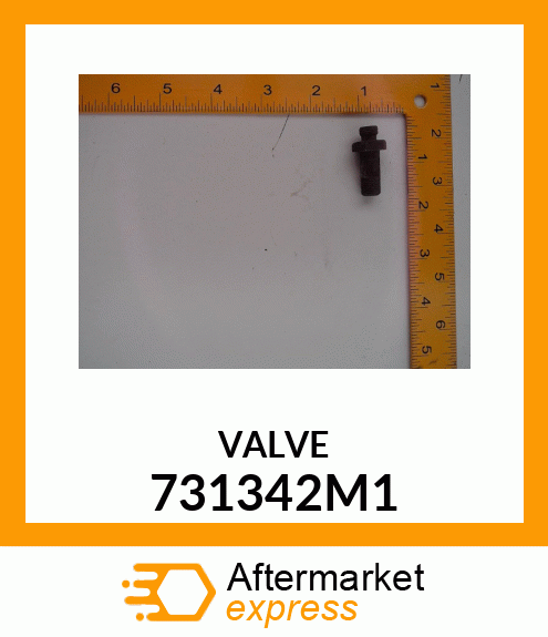 VALVE 731342M1