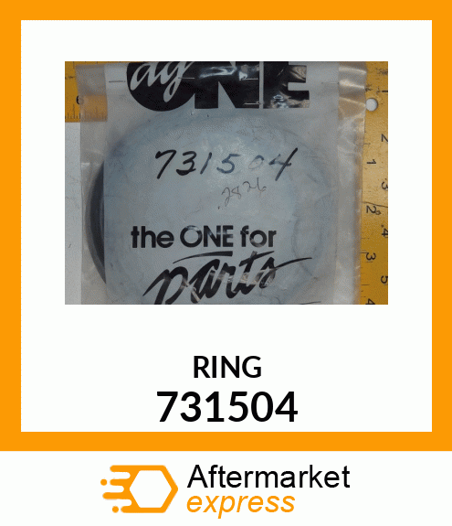 RING 731504