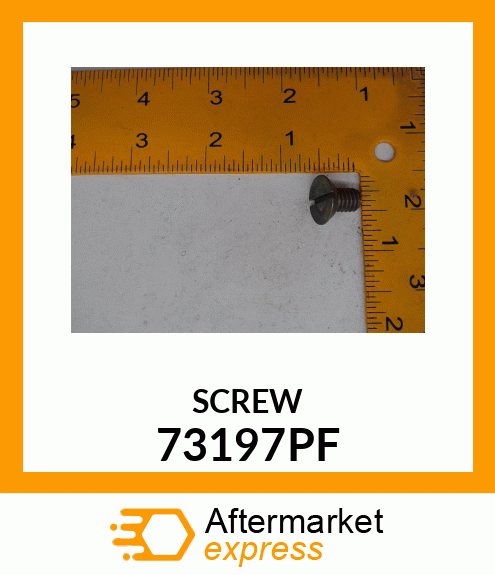 SCREW 73197PF