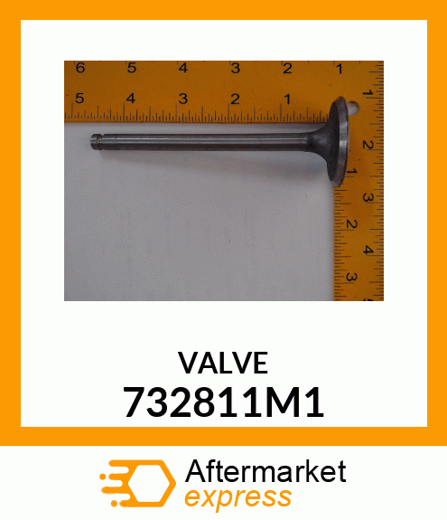 VALVE 732811M1