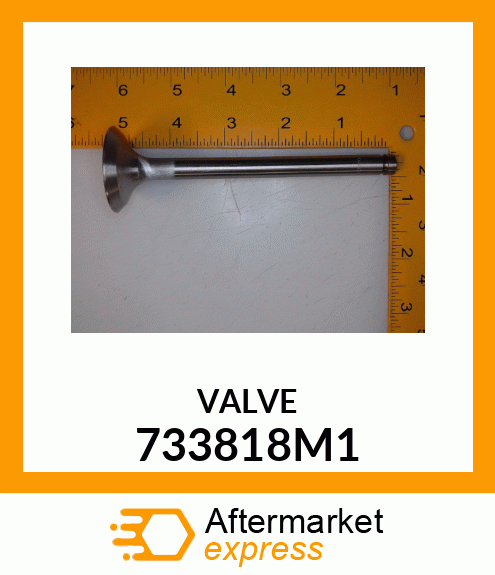 VALVE 733818M1