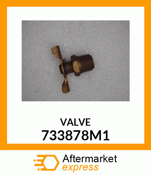 VALVE 733878M1