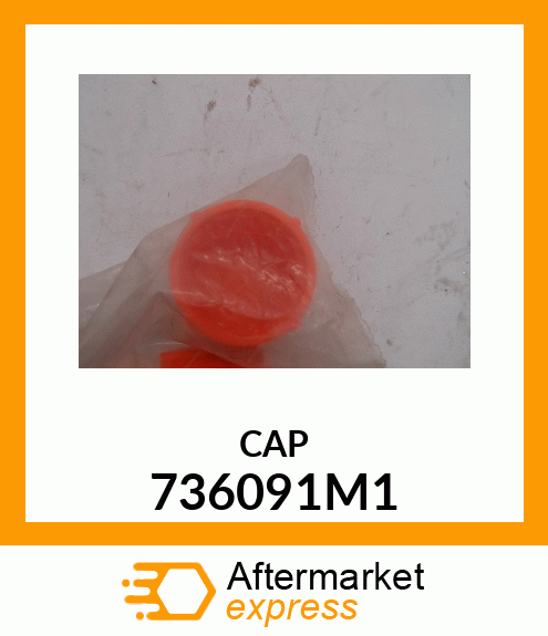 CAP 736091M1