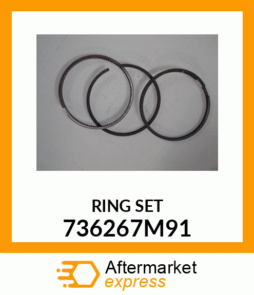 RING_SET 736267M91