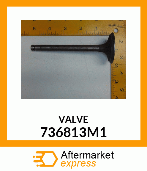 VALVE 736813M1