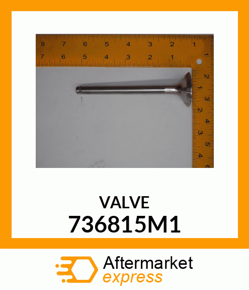 VALVE 736815M1