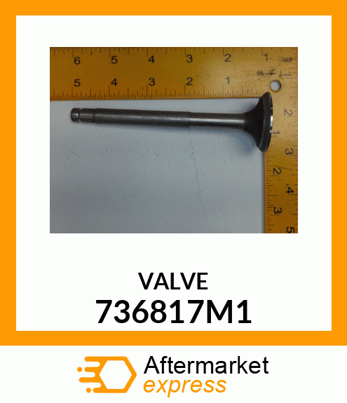 VALVE 736817M1