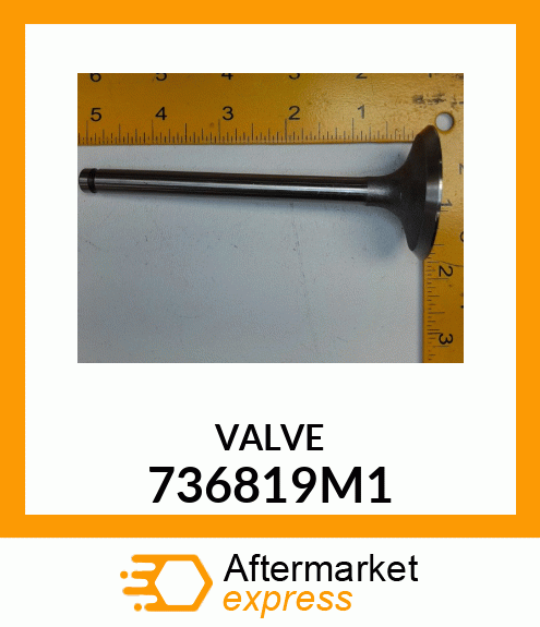 VALVE 736819M1