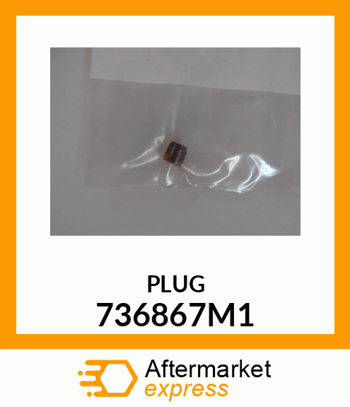 PLUG 736867M1