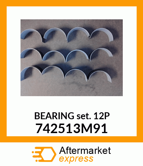 BEARING_SET_12P 742513M91