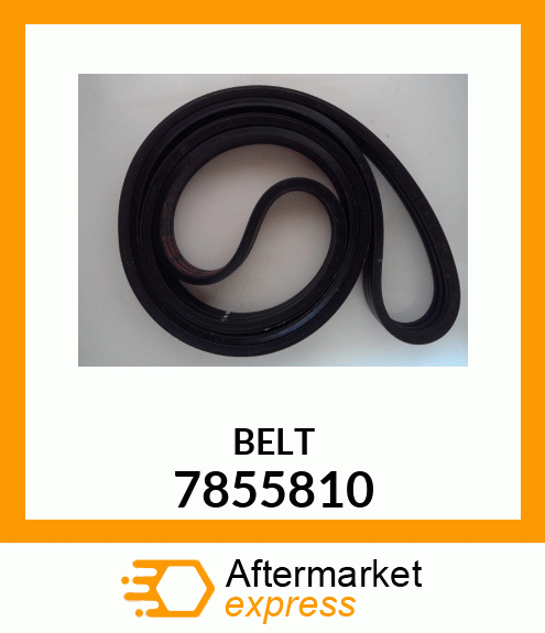 BELT 7855810