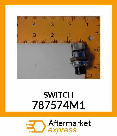 SWITCH 787574M1