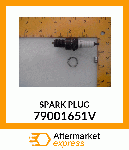 SPARK_PLUG 79001651V