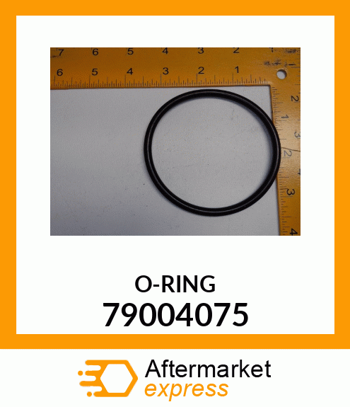 O-RING 79004075