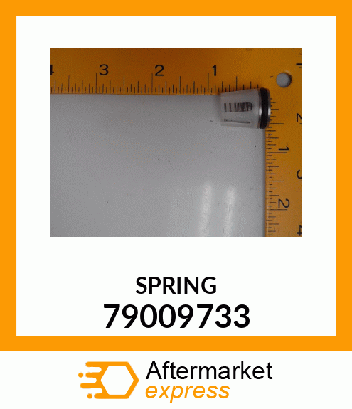 SPRING 79009733