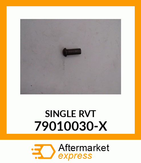 SINGLE_RVT 79010030-X