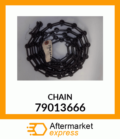 CHAIN 79013666