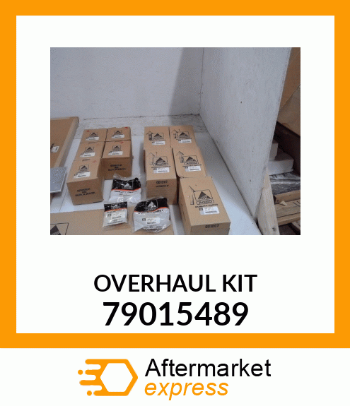 OVERHAUL_KIT 79015489