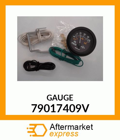 GAUGE_12PC 79017409V