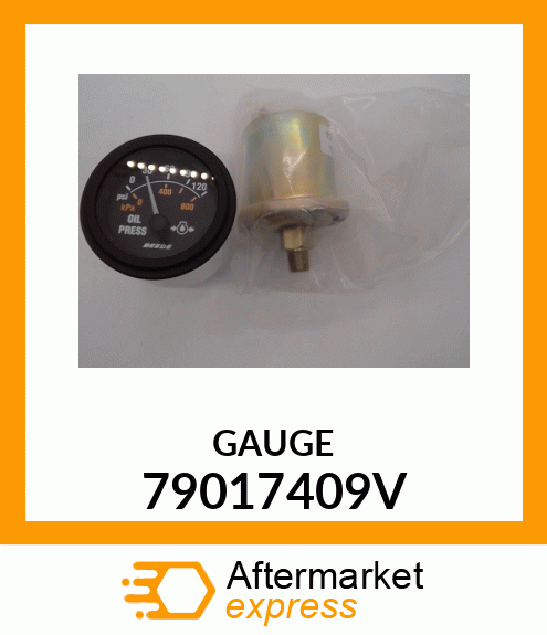 GAUGE_12PC 79017409V