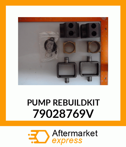 PUMP_REBUILDKIT 79028769V