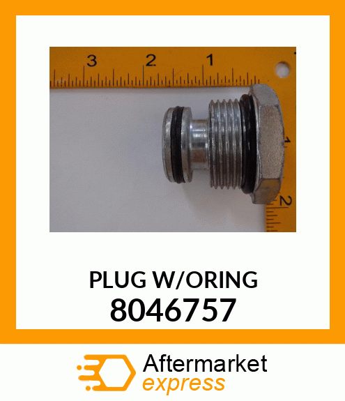 PLUG_W/ORING 8046757