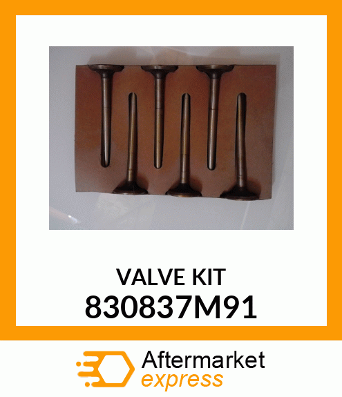 VALVE_KIT_6PC 830837M91