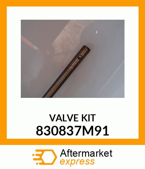 VALVE_KIT_6PC 830837M91